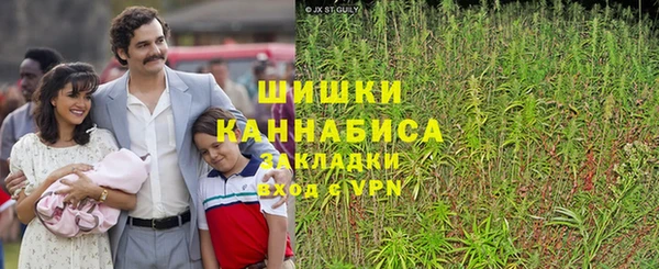 СК Козельск