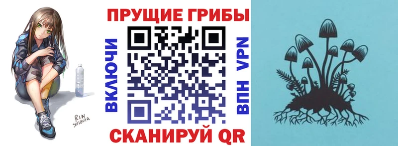 Псилоцибиновые грибы Psilocybe Ржев