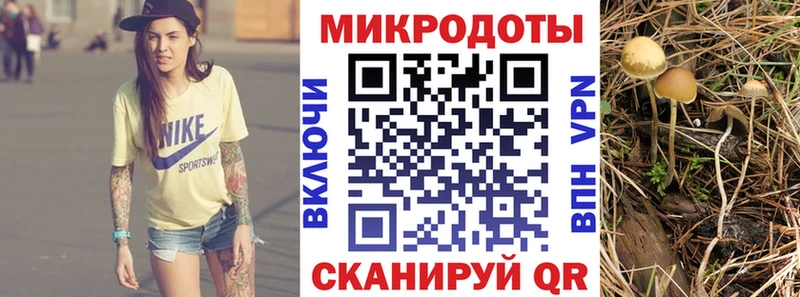 Галлюциногенные грибы прущие грибы  Купить где  Ржев